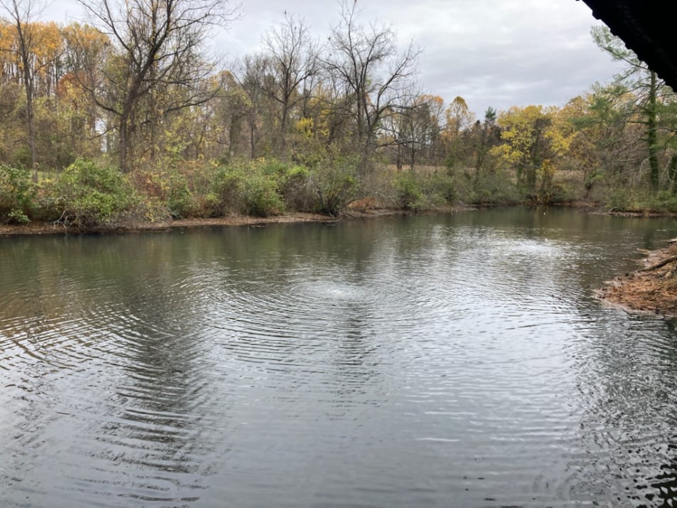 Lake Airlie After Treatment