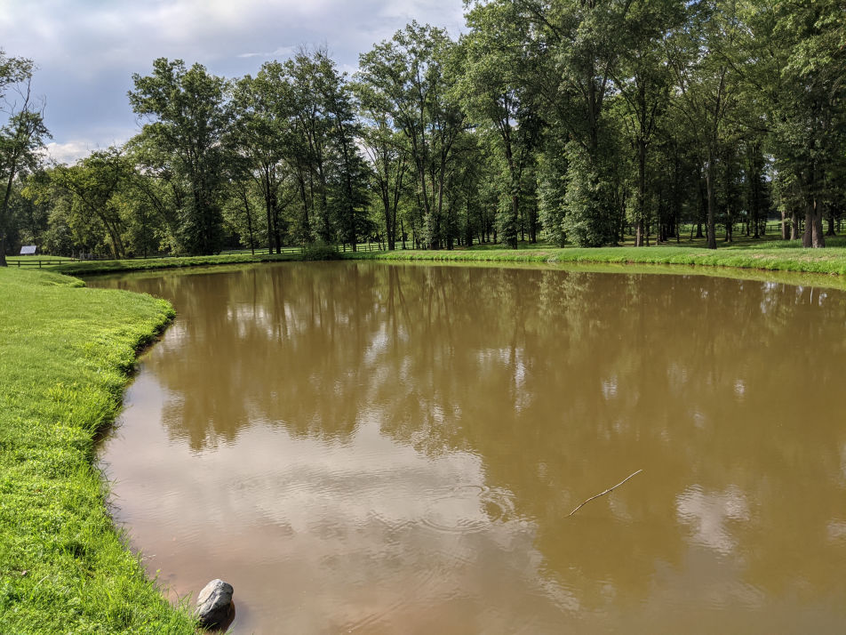 Beaverdam After Treatment Just leaves